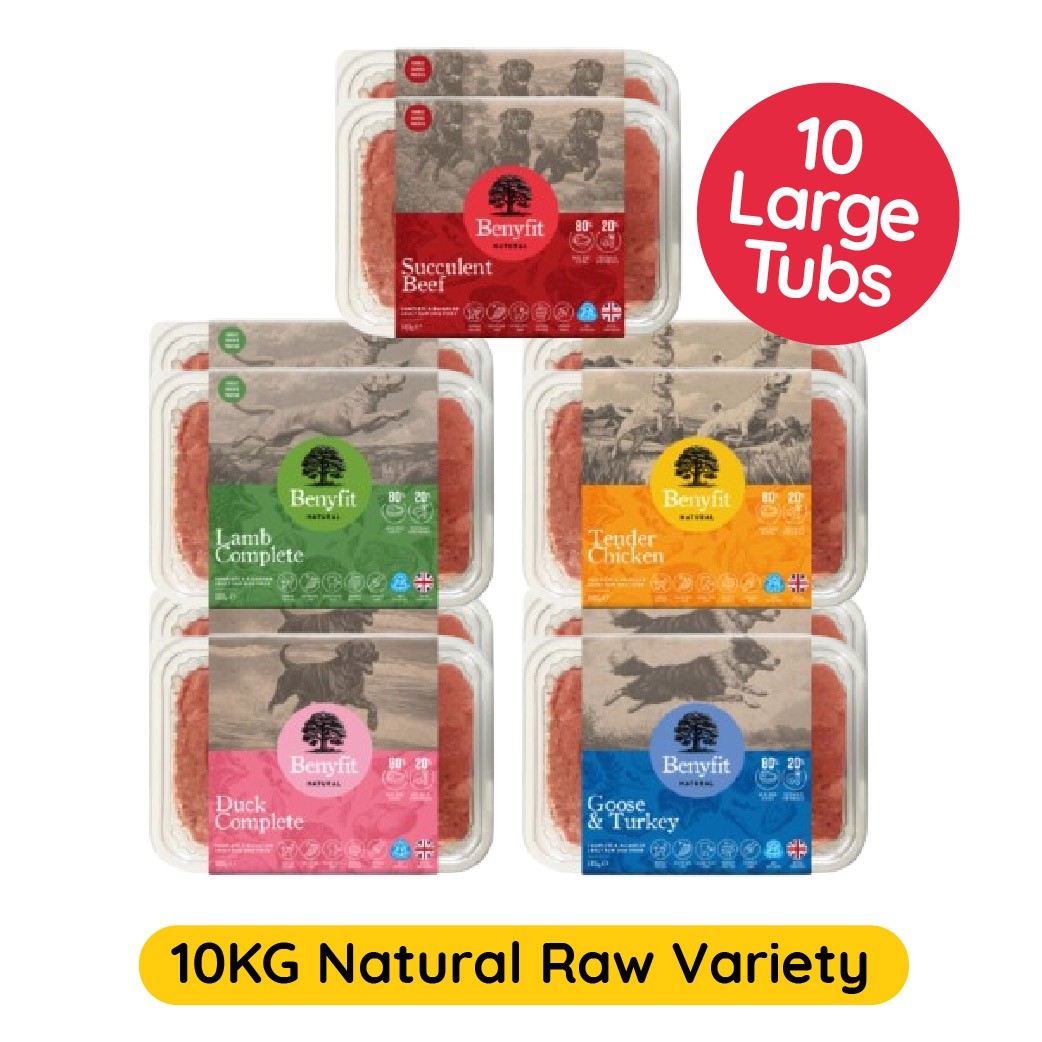 Benyfit Natural Benyfit Natural Raw Bundle Adult Dry Dog Food pet food packaging